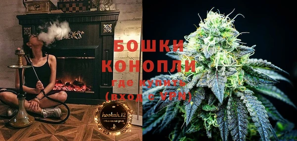 мдпв Осинники