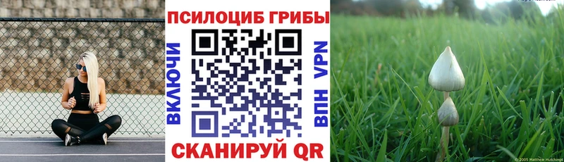 где купить наркоту  Рыбинск  Галлюциногенные грибы MAGIC MUSHROOMS 